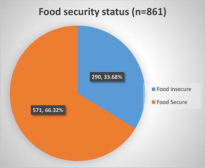 Food insecurity and its severity among adults receiving antiretroviral therapy in health facilities, northcentral Ethiopia: a multi-facility-based cross-sectional study